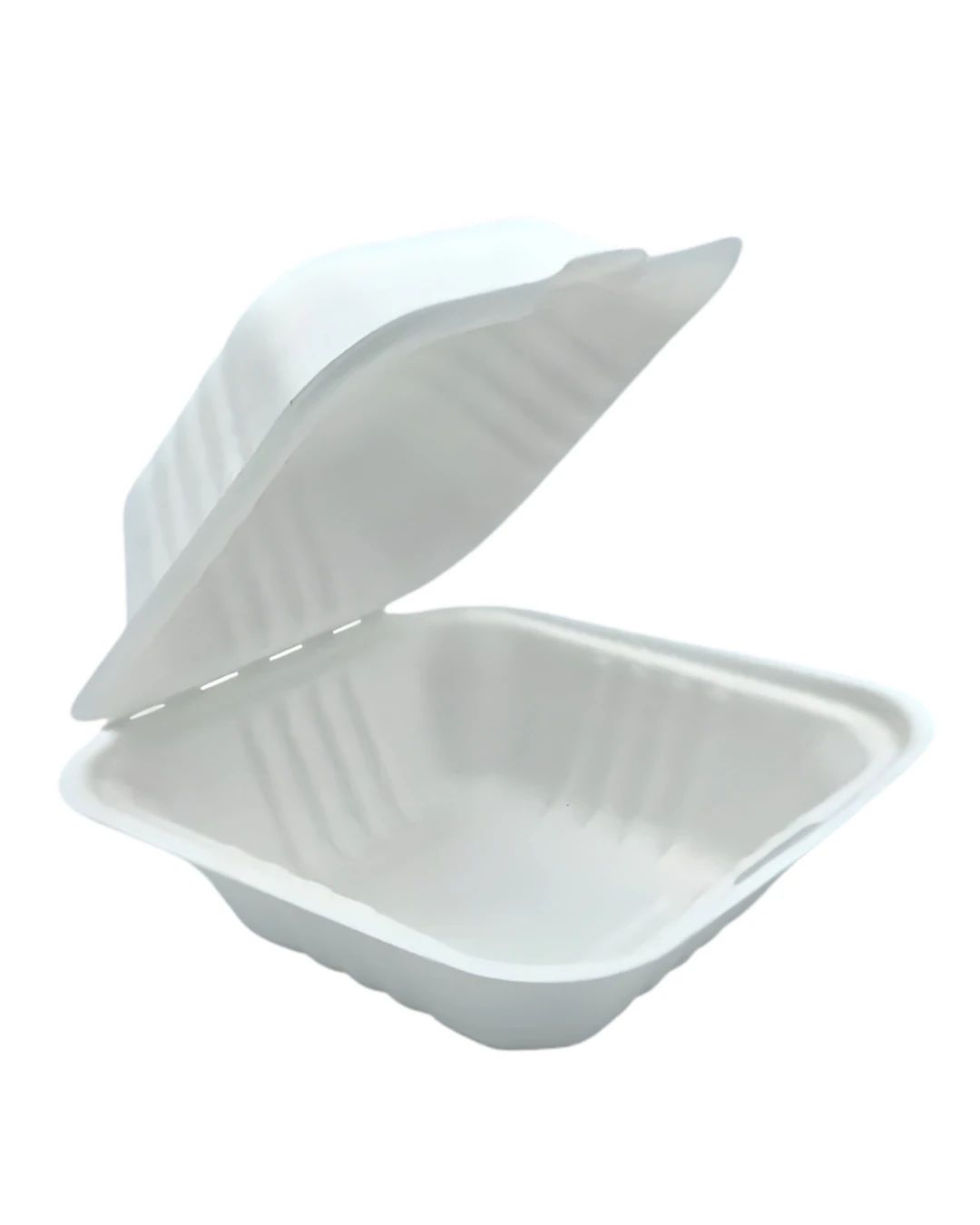 PP Eco White Container 6x6x3